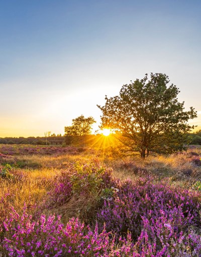 Voorjaarsvakantie Noord Nederland