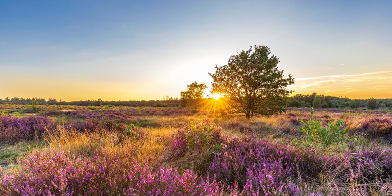 Voorjaarsvakantie Noord Nederland