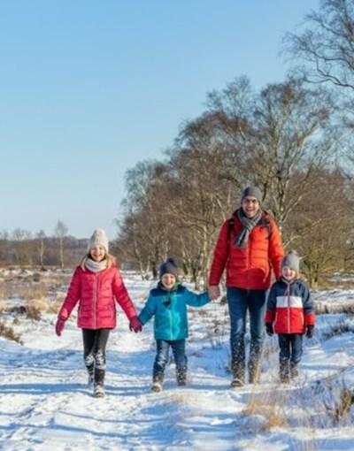 Weihnachtsferien auf der Veluwe